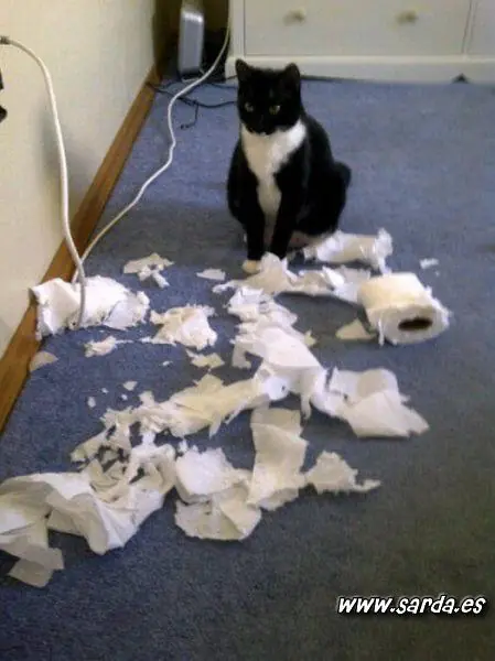 Querías humor??Toma!! [MegaPost]