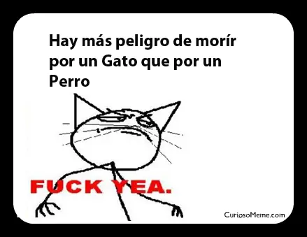 Datos Curiosos Con Memes Parte 2