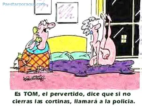 Frases, humor gráfico y bromas