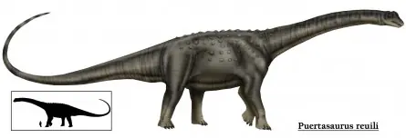 dinosaurios argentinos (megapost)