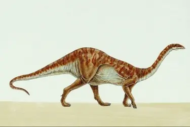dinosaurios argentinos (megapost)