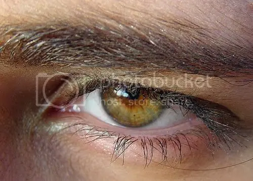 Ojos Avellana