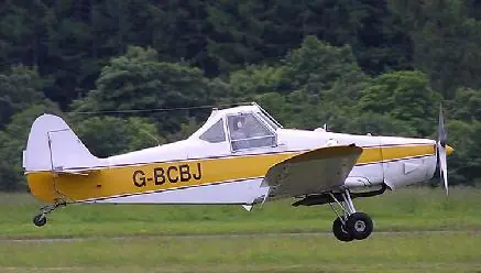 PA-25 Puelche
