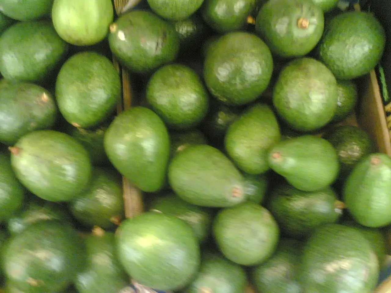 Las paguas extraterrestres.