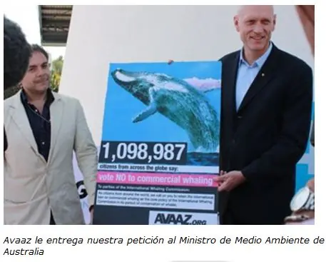 Firmemos Online para salvar la Internet