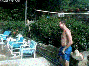 +10 seguro te gustara imagenes graciosas y gifs