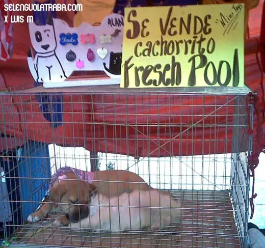 Aburrido? ... Espero sacarte una sonrisa con esto