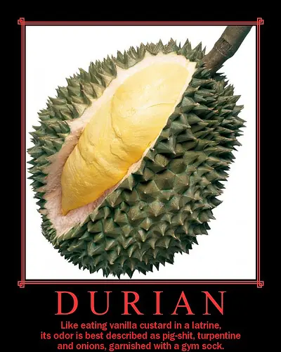 Durián, la gran fruta asiática
