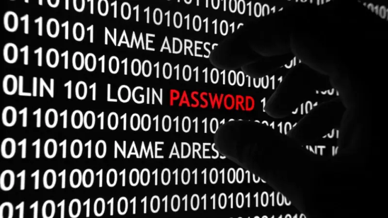 Google ofrece 1 millón de dólares