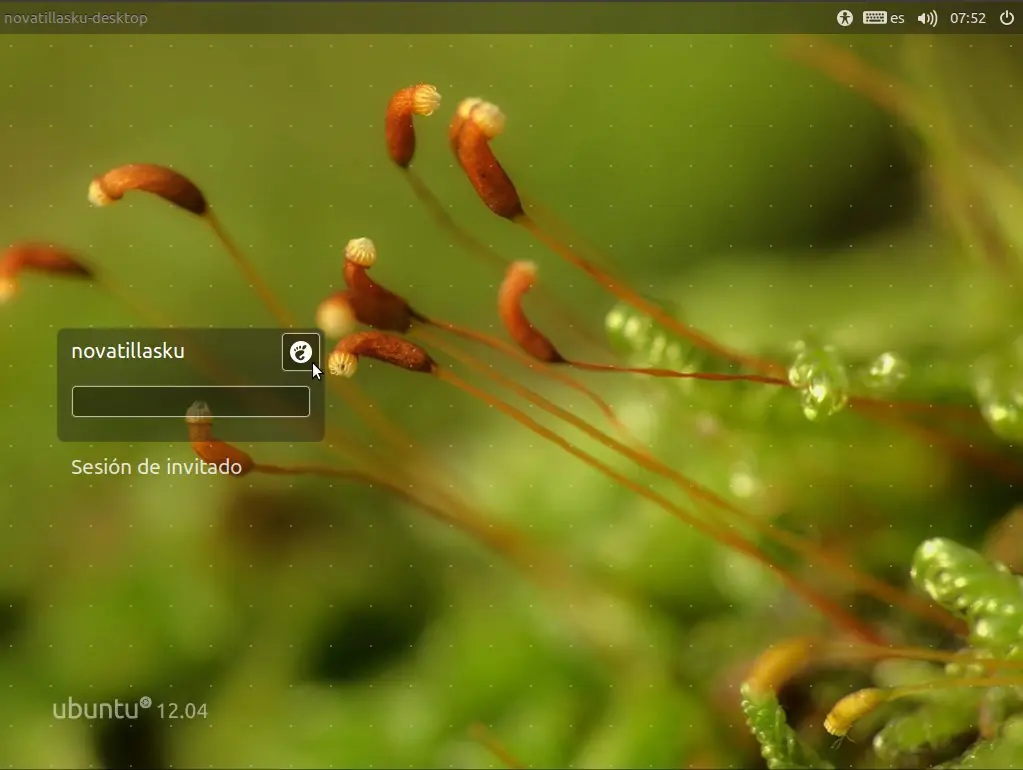 Ubuntu 12.04 “Precise Pangolín” LTS Beta 1 disponible