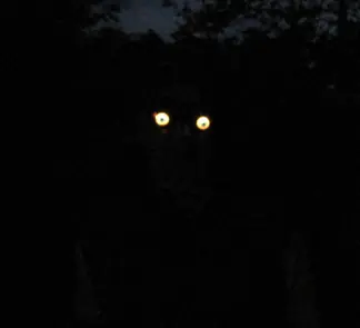 Miedo.
