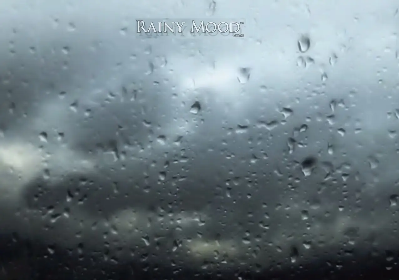 Te Gusta la Lluvia?
