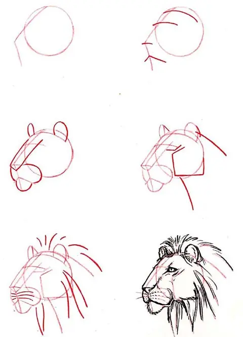 Cómo Aprender A Dibujar