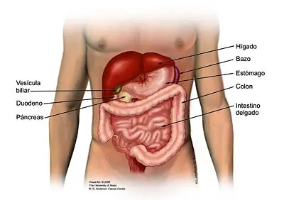 Aprende sobre el cancer de páncreas