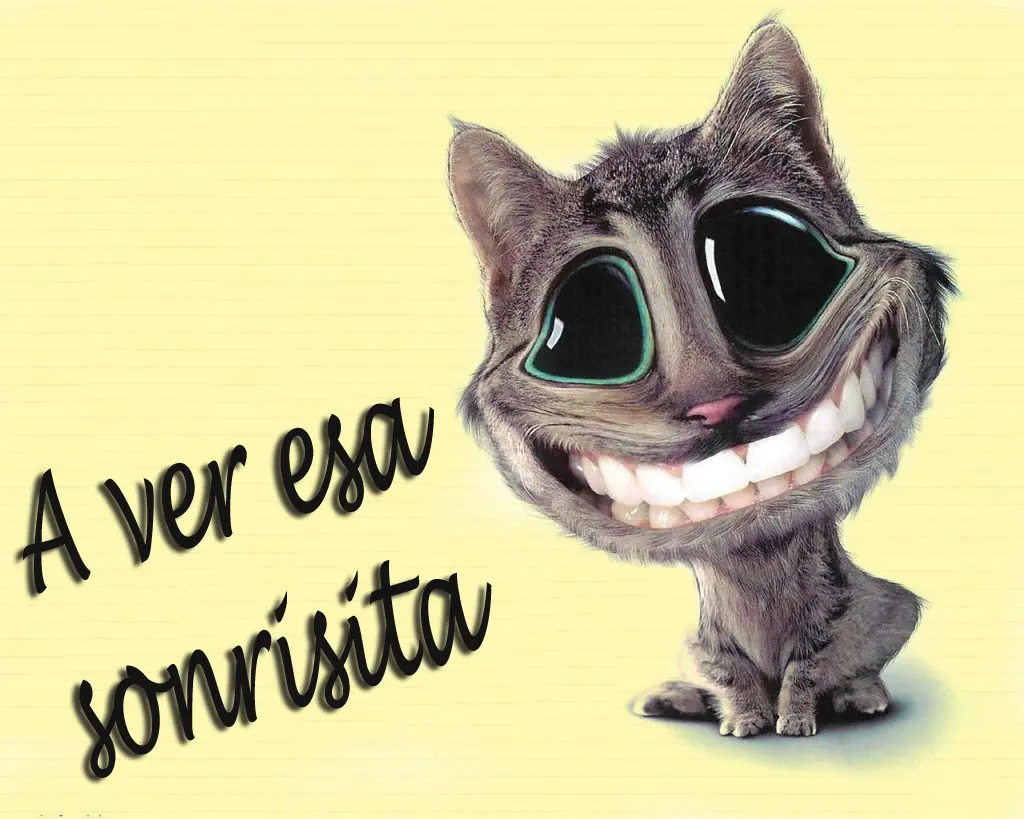 webs divertidas de internet