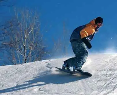 En honor al snowboard