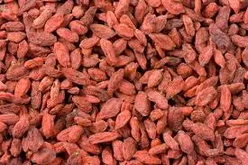 Bayas de Goji (el mejor antioxidante)