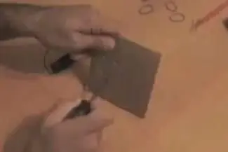 ratita