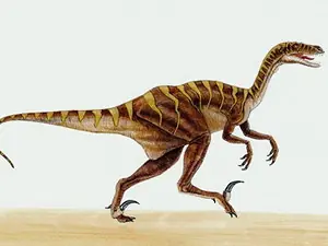 La última comida del Velociraptor
