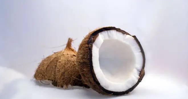 5 alimentos deliciosos y saludables