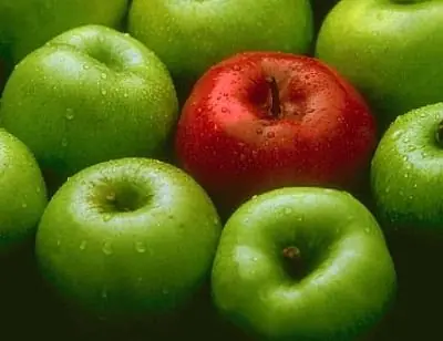 ¡Cuidado! Los 5 vegetales más peligrosos para la salud