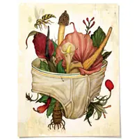 15 cosas que no sabes sobre tu pene