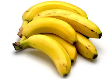 El Platano Propiedades y Caracteristicas