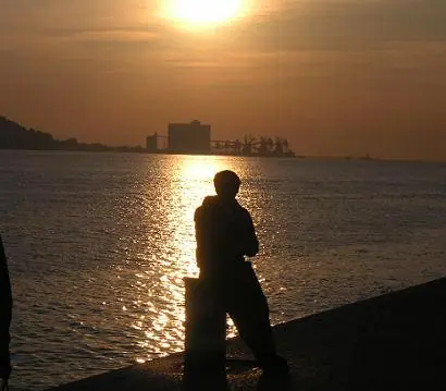 Todo lo que he Escrito.