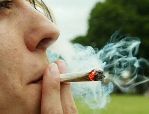 La marihuana en mi caso porque la quiero el tuyo?