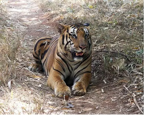 101 Buenas preguntas