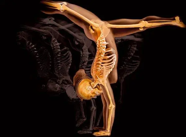 Curiosidades de nuestro cuerpo