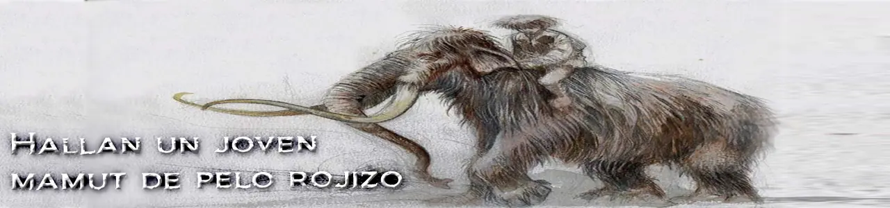 Hallan un joven mamut de pelo rojizo