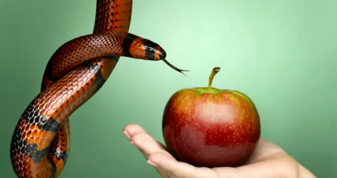 Siete pecados tecnológicos que no debes cometer