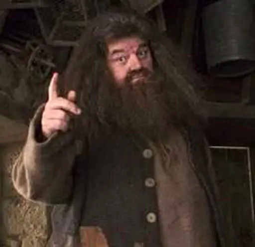 Juana Schindler, la notera sexy del "Pelado" Lópe