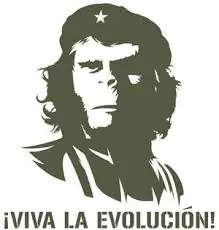 Sugerencia para evolucionar (Anti repost)
