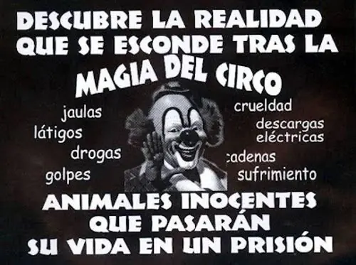 La cara triste del circo