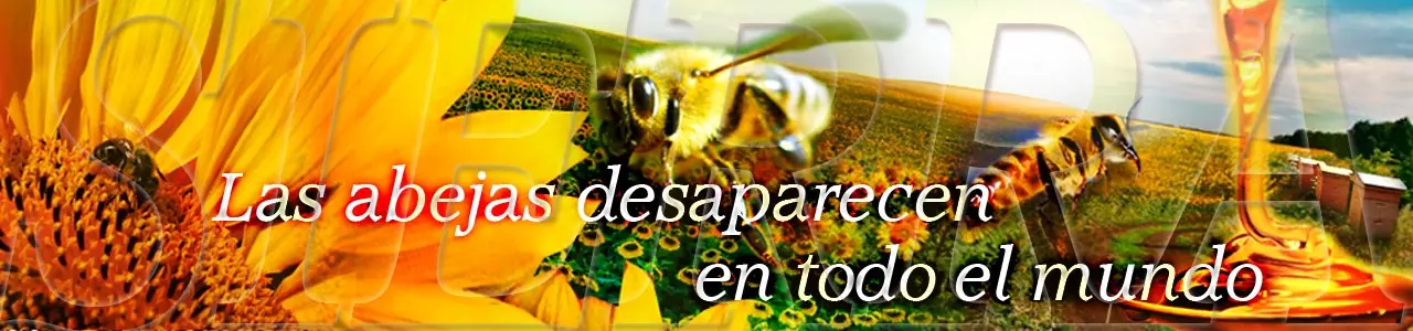 Las abejas desaparecen en todo el mundo