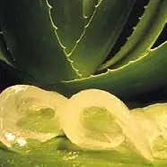 Cura Natural para el Cáncer