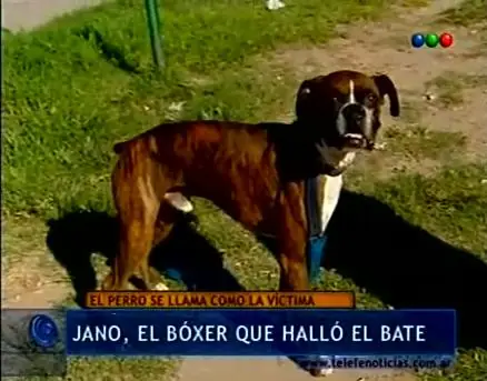 El misterioso caso jano