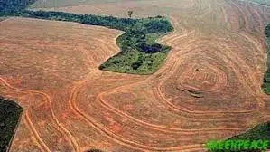 Salvemos el Amazonas Entren