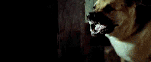 Si no me recuerda.Gifs y filmes (unas olvidadas y otras no)5