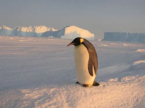 10 de los paisajes más hermosos de la naturaleza