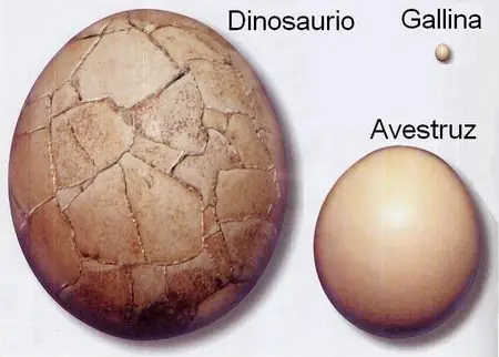 Astuturamio