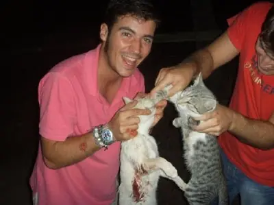 basta al maltrato animal