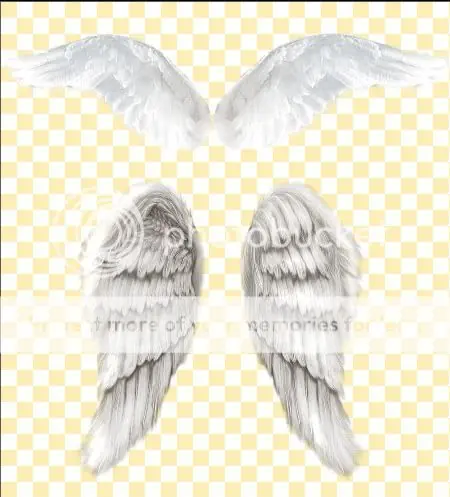 alas de angel para tus fotos