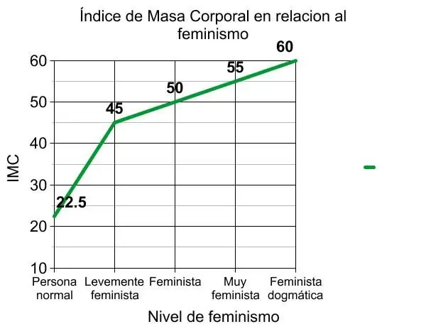 Feminismo Feminismo