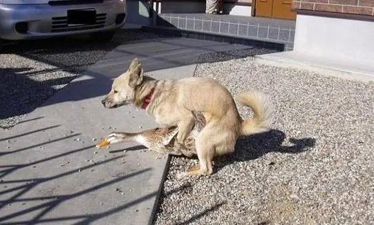 Imagenes divertidas, fails y mas (no repost)