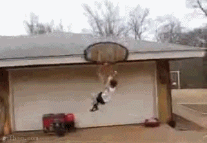 Gifs
