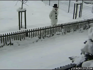 fails