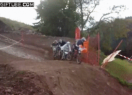 Gifs